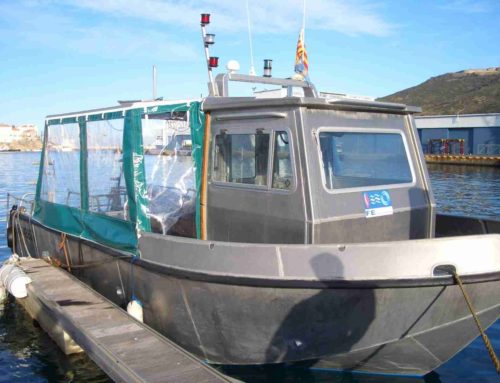 LittorAL V800/3 Diving